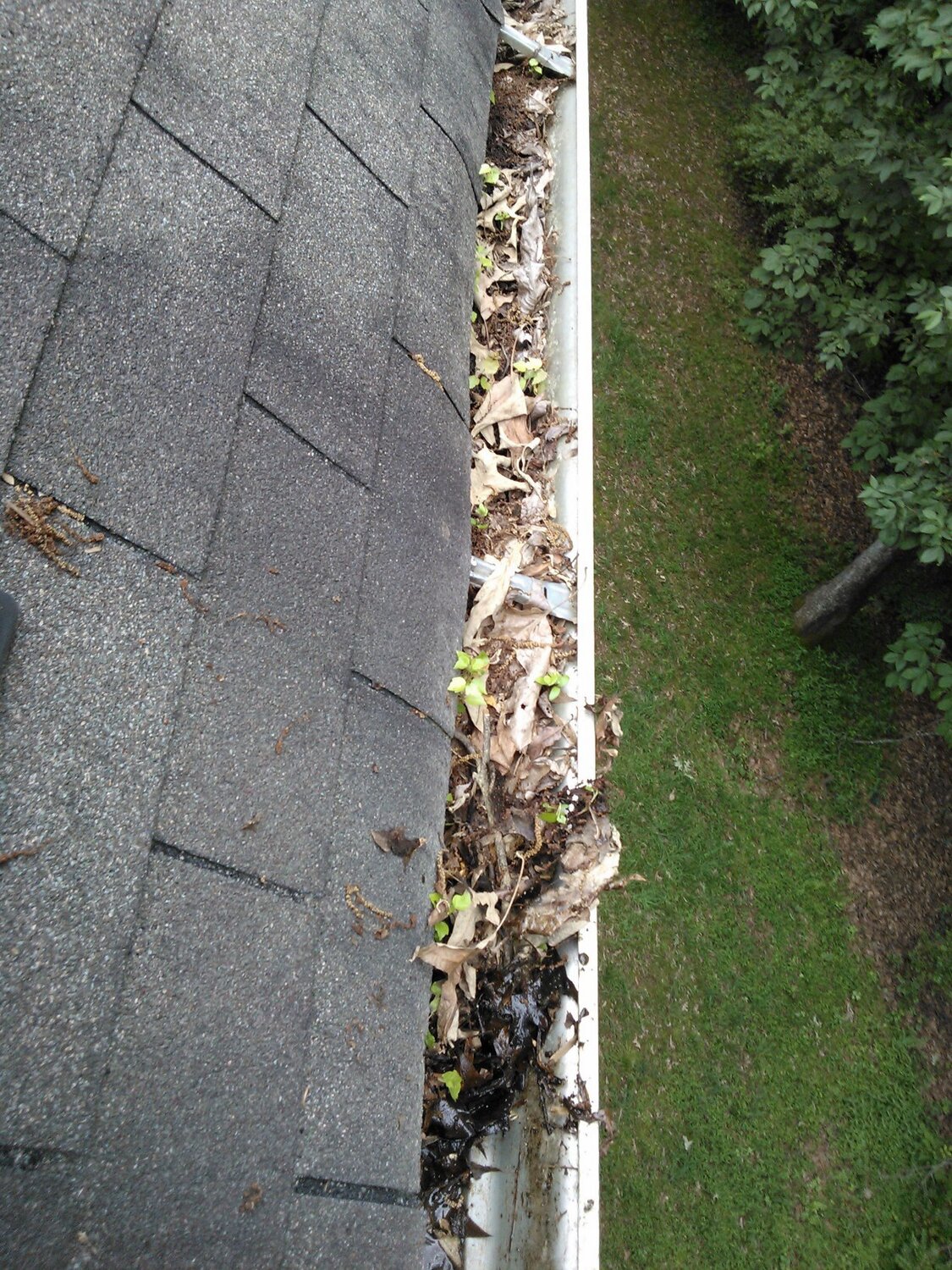 Don’t let leaves pile up in your gutters. ..File link: creativecommons.org/licenses/by-sa/3.0
